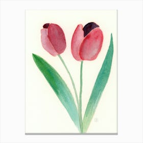 Two Tulips - minimalist minimalism watercolor floral flowers red green Canvas Print