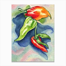 Habanero Pepper Fauvist vegetable Canvas Print