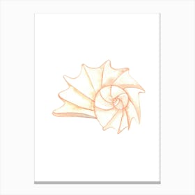 Seashell 2 Canvas Print