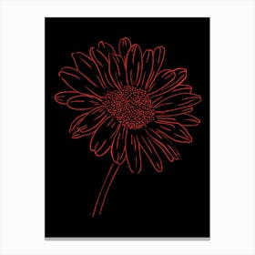 Crimson Bloom Bathed in Sunlight (evokes color and atmosphere) Canvas Print