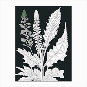 Horseradish Herb William Morris Inspired Line Drawing 1 Canvas Print
