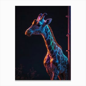 Giraffe At Night 3 Canvas Print