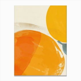 Oranges Close Up Illustration 1 Canvas Print