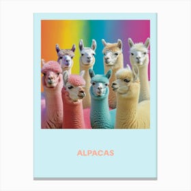 Alpacas Rainbow Poster 1 Canvas Print