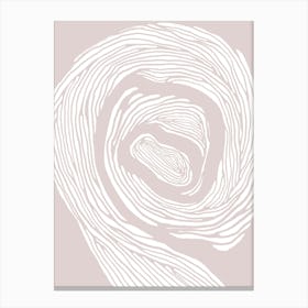 Spirals Canvas Print