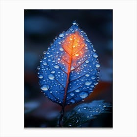 Blue Leaf With Dew Drops Canvas Print