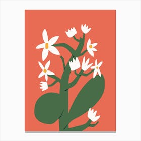 White Blossom In Red Canvas Print