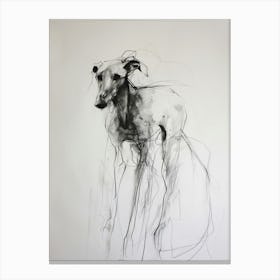 Greyhound Dog Charcoal Line 1 Canvas Print