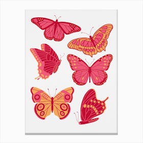 Texas Butterflies   Pink And Orange Canvas Print