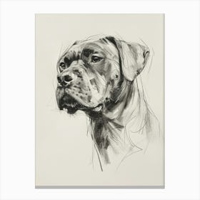 Bullmastiff Dog Charcoal Line 3 Canvas Print