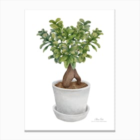 Bonsai.A fine artistic print that decorates the place. 2 Canvas Print