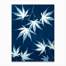 Blue Japanese maple leaf cyanotype Canvas Print