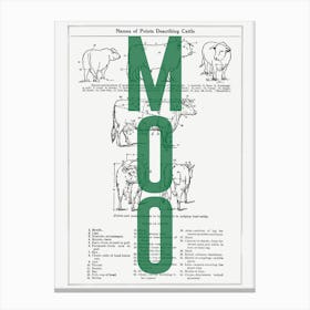 Moo On Cow Canvas Print