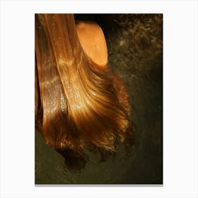 Hair #2 Canvas Print