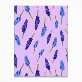 Muscari Flowers Lilac Canvas Print