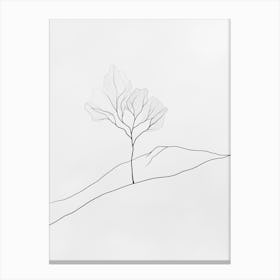 Lone Tree Canvas Print