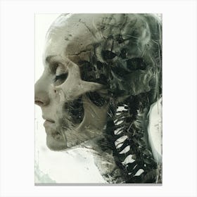 Skull And Skeleton Canvas Print