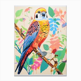 Colourful Bird Painting American Kestrel 3 Canvas Print
