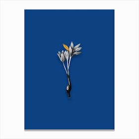Vintage Autumn Crocus Black and White Gold Leaf Floral Art on Midnight Blue n.0318 Canvas Print