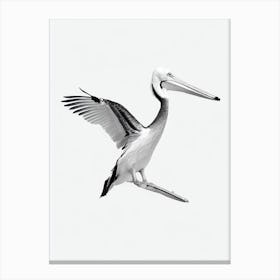 Pelican B&W Pencil Drawing 2 Bird Canvas Print
