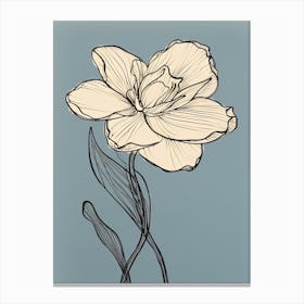 Daffodils Line Art Flowers Illustration Neutral 9 Canvas Print