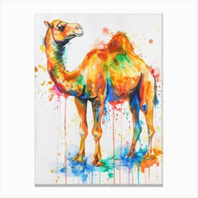 Camel Colourful Watercolour 1 Canvas Print