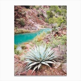 Turquoise Cactus River Canvas Print