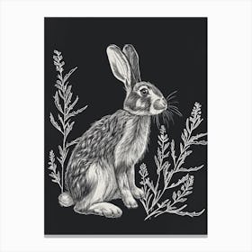 American Fuzzy Lop Rabbit Minimalist Illustration 2 Canvas Print