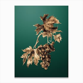 Gold Botanical Brachetto Grape on Dark Spring Green n.1183 Canvas Print