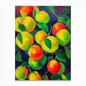 Pummelo 2 Fruit Vibrant Matisse Inspired Painting Fruit Canvas Print