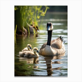 Canadian Geese 16 Canvas Print