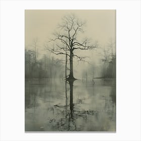 Tree In The Fog 1 Canvas Print