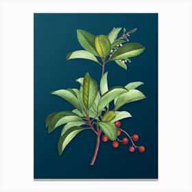 Vintage Greek Strawberry Tree Botanical Art on Teal Blue n.0890 Canvas Print