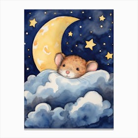 Baby Mouse 1 Sleeping In The Clouds Canvas Print