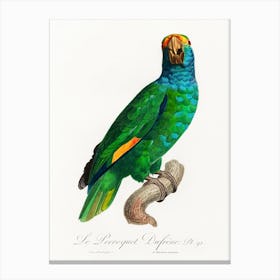 The Blue Cheeked Amazon From Natural History Of Parrots, Francois Levaillant Canvas Print