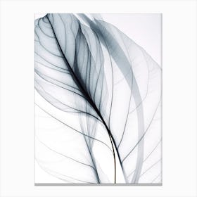 Leaf In Black And White Canvas Print