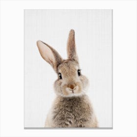 Peekaboo Bunny Canvas Print
