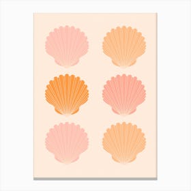 Blush Shells Canvas Print