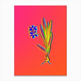 Neon Gladiolus Plicatus Botanical in Hot Pink and Electric Blue n.0145 Canvas Print