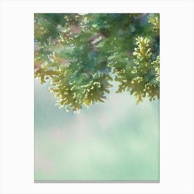 Acropora Suharsonoi Iii Storybook Watercolour Canvas Print