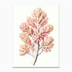 Coral Reef Canvas Print