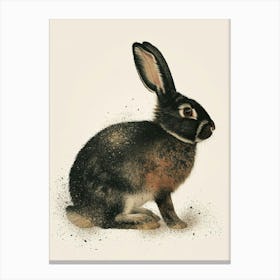 American Sable Rabbit Nursery Illustration 1 Canvas Print