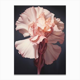 Floral Illustration Carnation Dianthus 5 Canvas Print