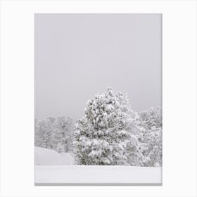 Winter landscape snowy trees | Austria Canvas Print