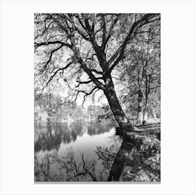 Tree By The Water Black And White Canvas Print