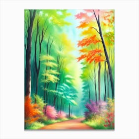 Forest Path Canvas Print