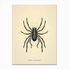 Vintage Spider Poster Canvas Print