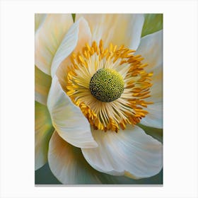 White Peony 1 Canvas Print