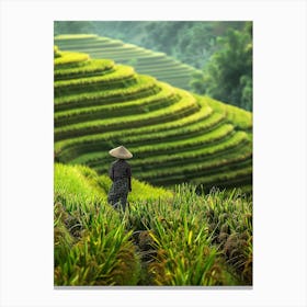 Rice Terraces In Vietnam 3 Canvas Print