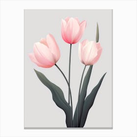 Minimalist Pink Tulips Canvas Print